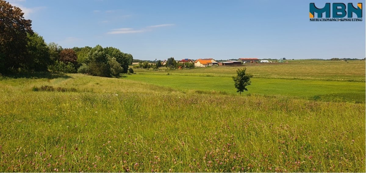 Działka rolna na sprzedaż Stręgielek, Stręgielek  3 035m2 Foto 7