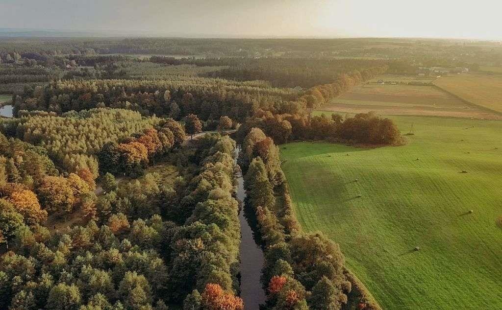 Działka inna na sprzedaż Miłomłyn  4 065m2 Foto 13