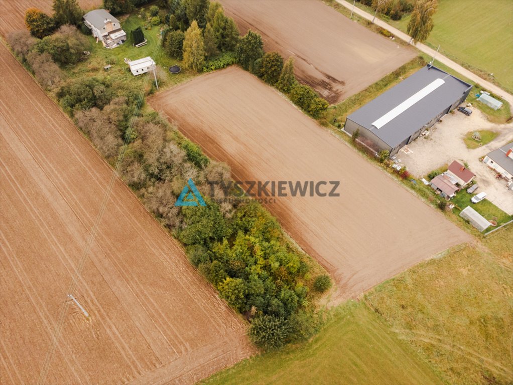 Działka rolna na sprzedaż Dobrzewino  7 071m2 Foto 5