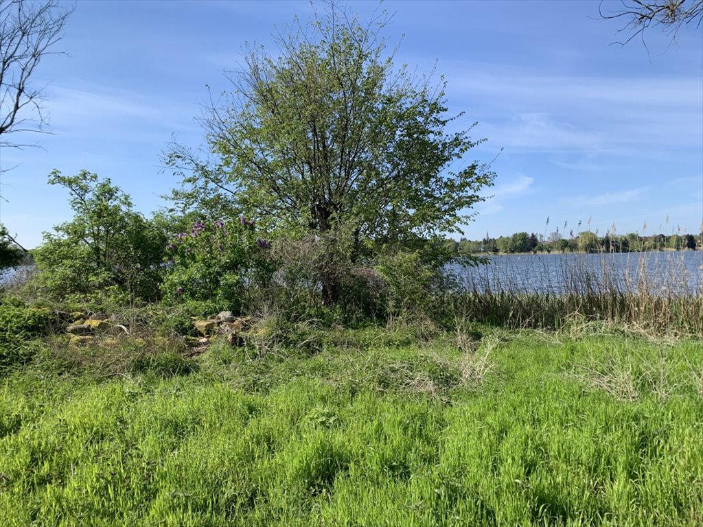 Działka nad jeziorem Skrzynki 3653 m² z możliwością zabudowy Kórnik  3 653m2 Foto 1