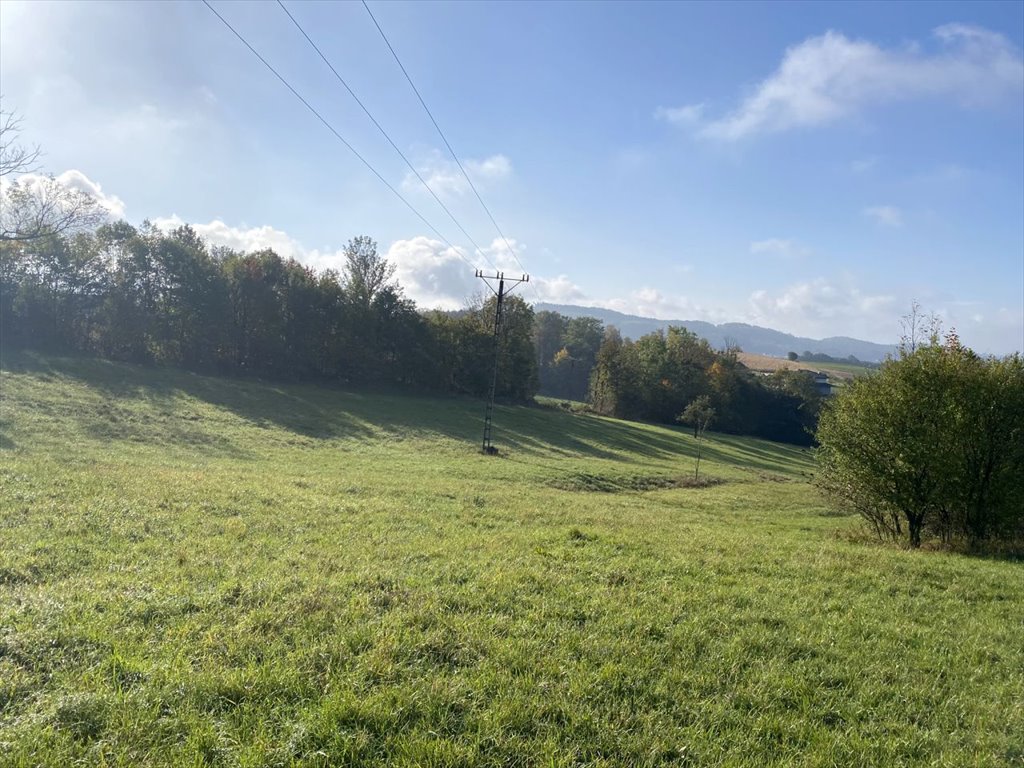 Działka budowlana na sprzedaż Goleszów, Goleszów, Pilotów  1 593m2 Foto 3