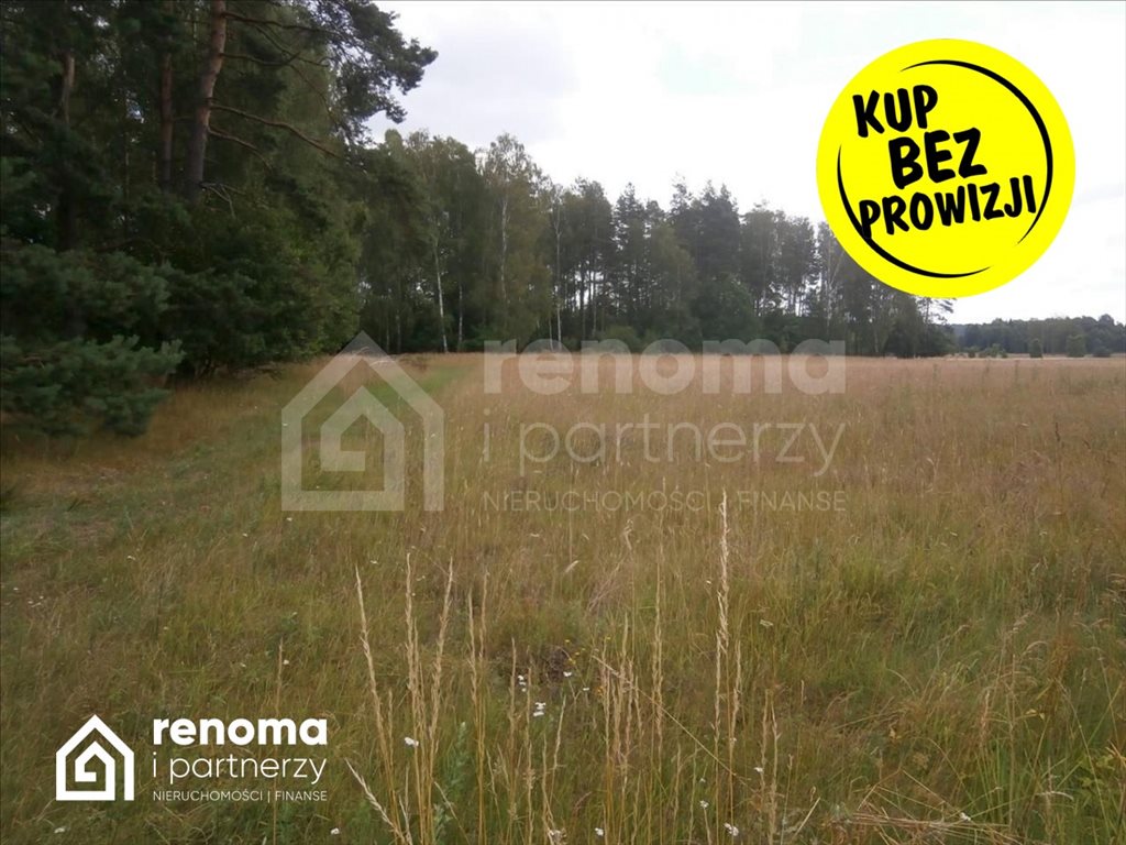 Działka inna na sprzedaż Powidz  9 100m2 Foto 4