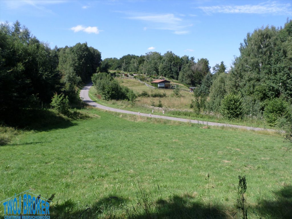 Polecam działki rolne nad jeziorem Jeleń 8 224 m² w Pomysku Wielkim Pomysk Wielki  8 224m2 Foto 1