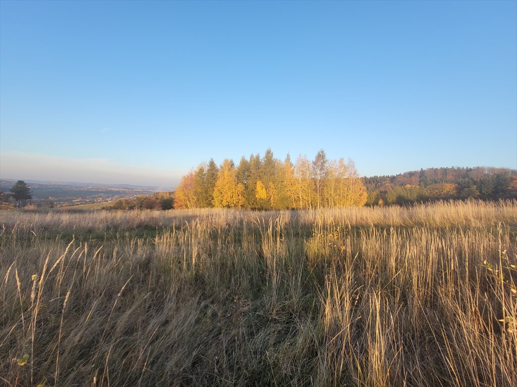 Działka rekreacyjna na sprzedaż Szymbark  3 000m2 Foto 6