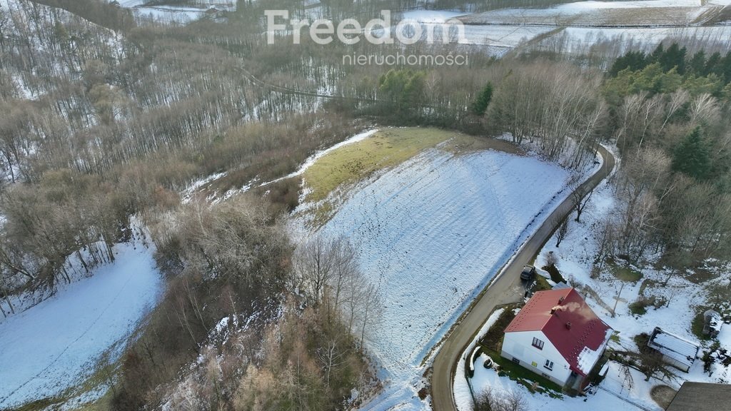 Działka budowlana na sprzedaż Błażkowa  4 544m2 Foto 6