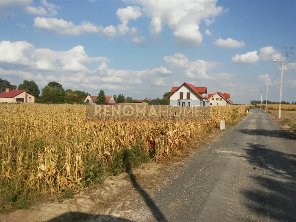 Działka budowlana na sprzedaż Dębice  1 117m2 Foto 6