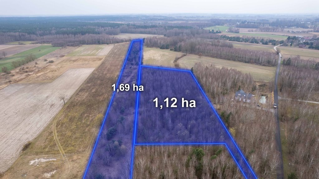 Działka rolna na sprzedaż Sadek  28 204m2 Foto 1