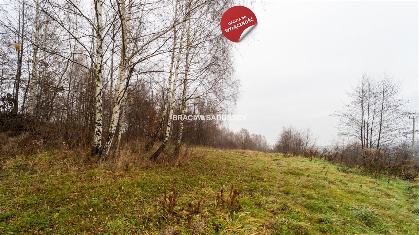 Działka budowlana na sprzedaż Podstolice  3 600m2 Foto 16