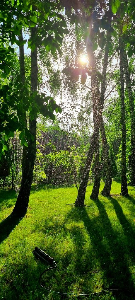 Działka budowlana na sprzedaż Szczęsne  2 116m2 Foto 3