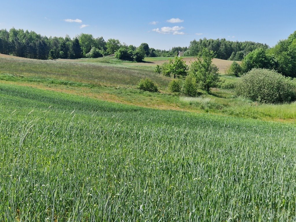 Działka budowlana na sprzedaż Szarłata, Spadzista  15 977m2 Foto 7