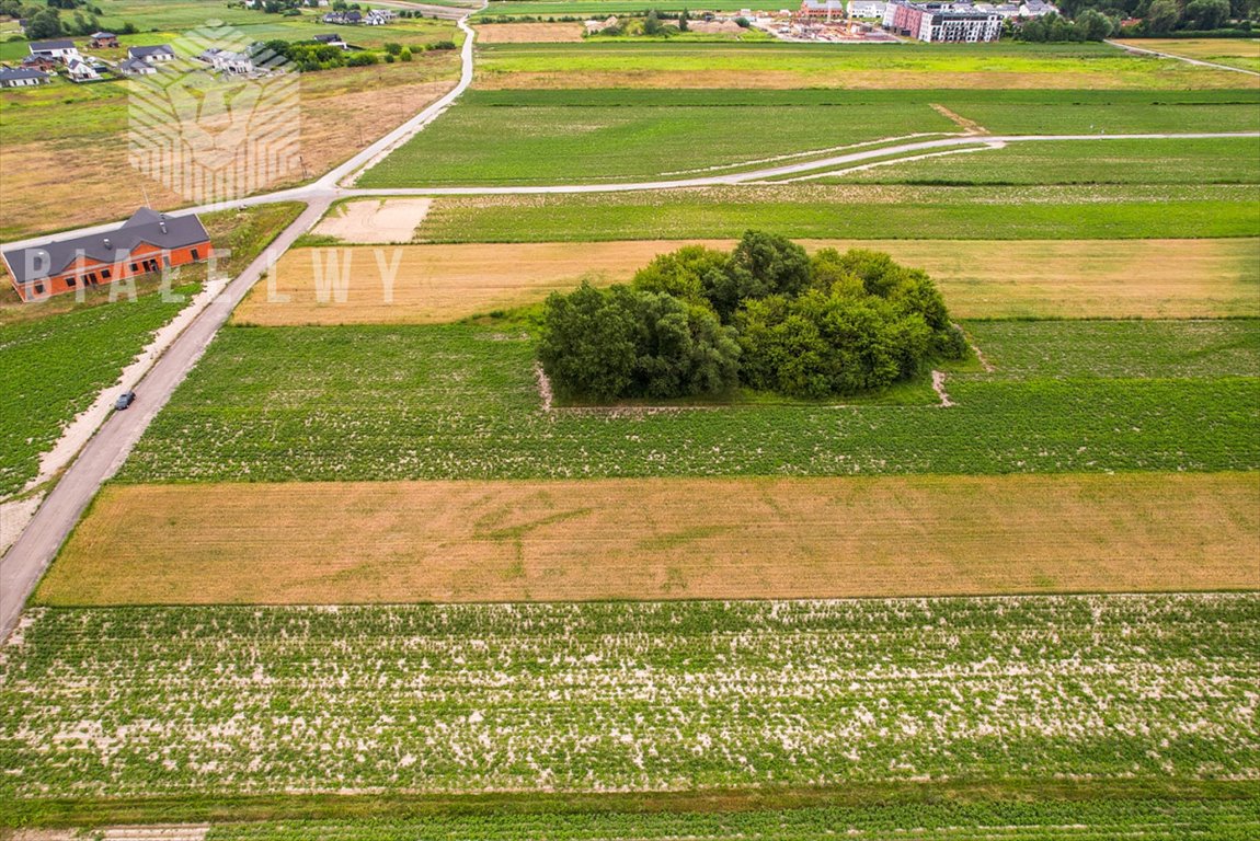 Działka przemysłowo-handlowa na sprzedaż Łady, Grudzi  4 157m2 Foto 4