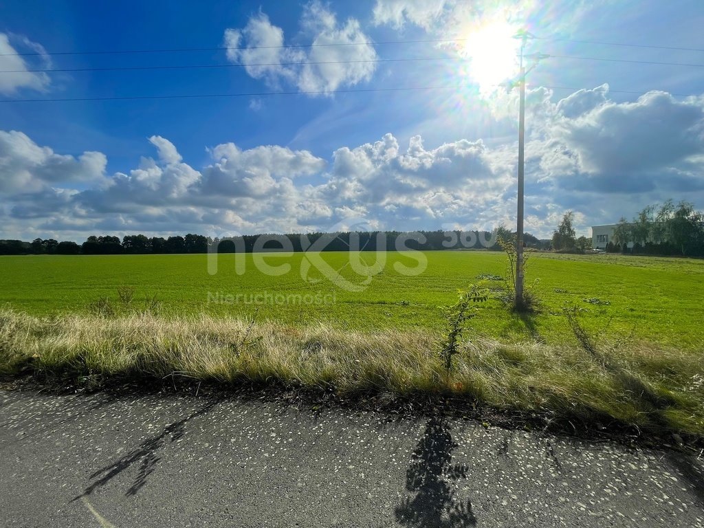 Sprzedam działkę inwestycyjną 27 869 m² z potencjałem przemysłowym Oleśnica  27 869m2 Foto 1