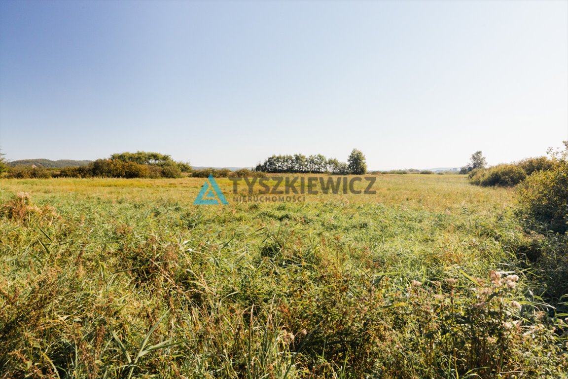 Działka rolna na sprzedaż Reda, Rolnicza  15 800m2 Foto 12