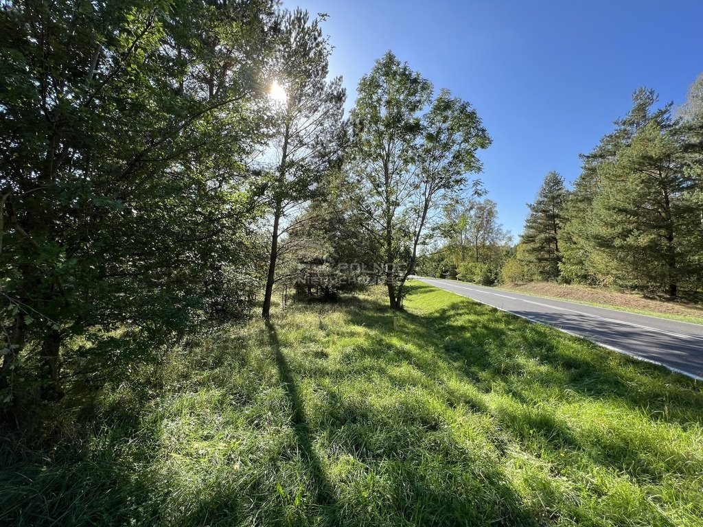 Działka budowlana na sprzedaż Nowa Kaletka  2 669m2 Foto 8