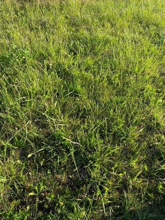 Działka nad morzem 3000 m² z możliwością budowy i widokami Łazy, Łazy  3 000m2 Foto 1