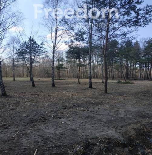 Działka budowlana na sprzedaż Ludwików  3 000m2 Foto 4