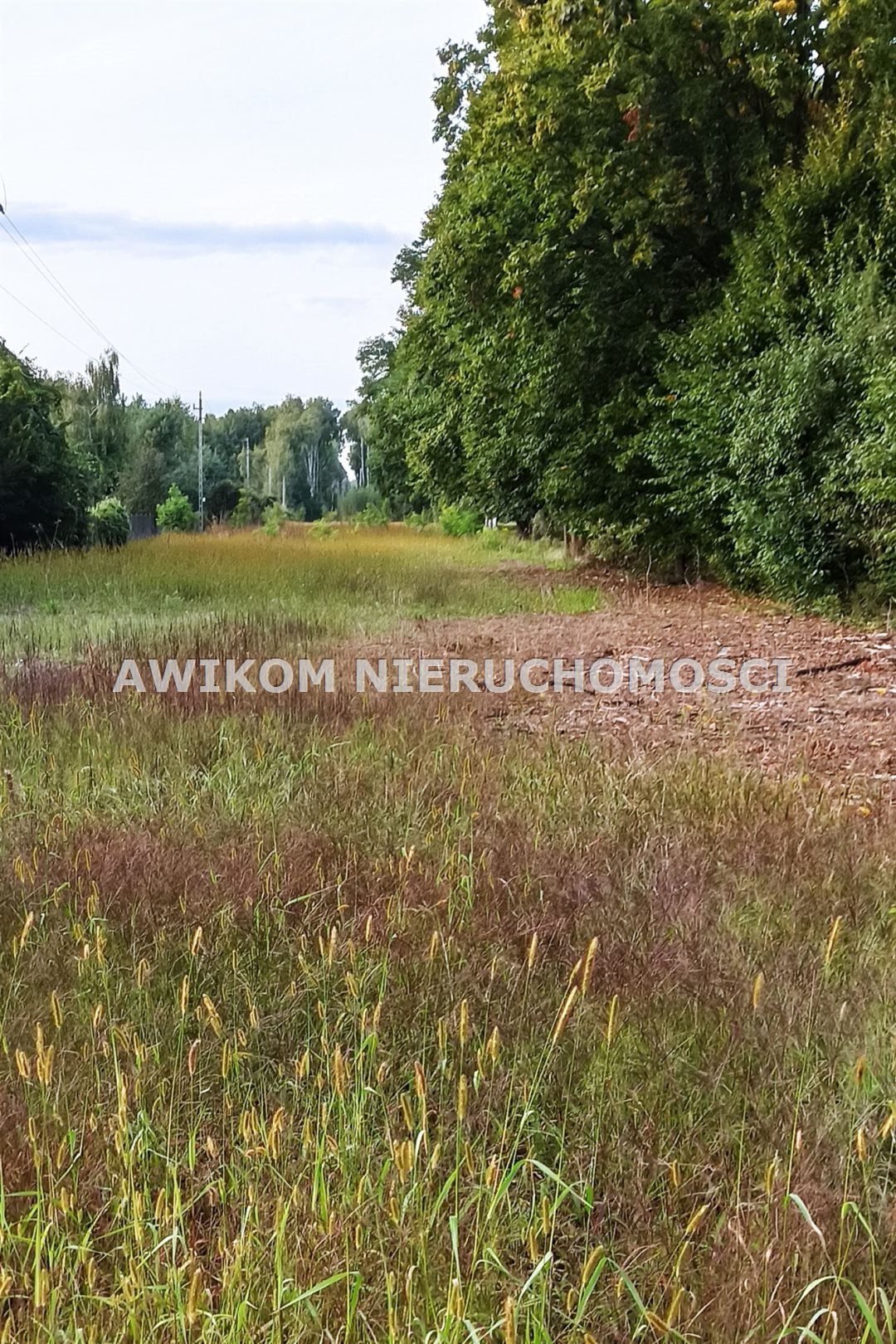 Polecam dużą działkę 11 350 m² z lasem i mediami Grodzisk Mazowiecki, Makówka  11 350m2 Foto 1