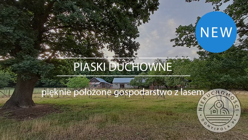 Urokliwa działka 3 ha z lasem i widokami na Mazowszu Piaski Duchowne  27 434m2 Foto 1