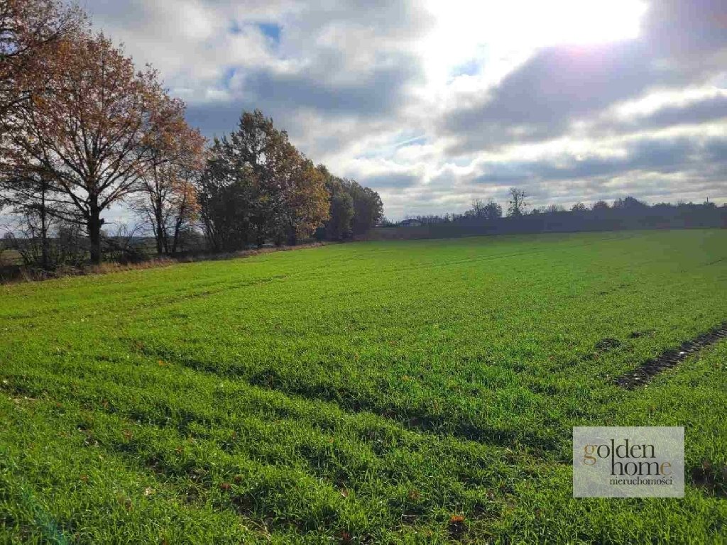 Działka budowlana na sprzedaż Grzebienisko, Świerkowa  2 555m2 Foto 7