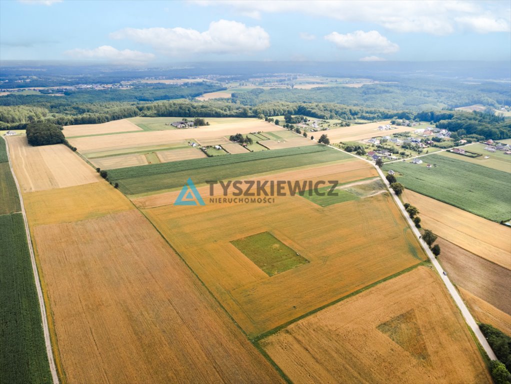 Działka budowlana na sprzedaż Góra, Słowińska  3 081m2 Foto 2