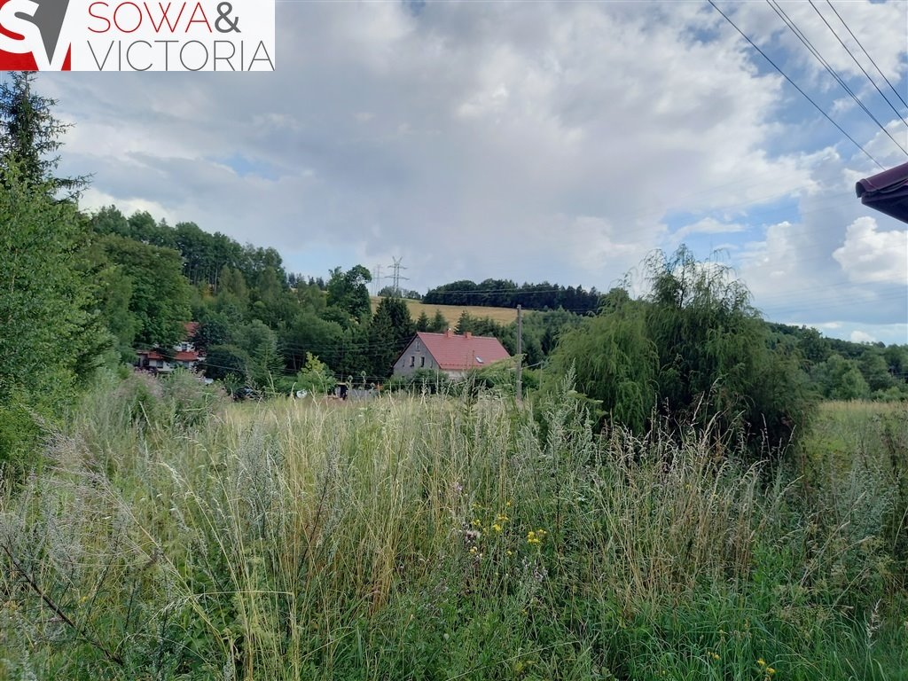 Działka inna na sprzedaż Jabłów  1 405m2 Foto 3