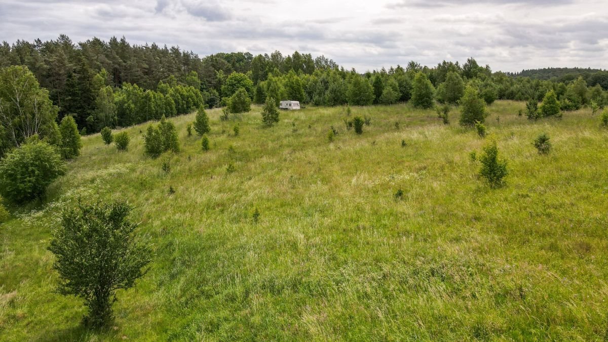 Działka budowlana na sprzedaż Gromadzin  3 143m2 Foto 12