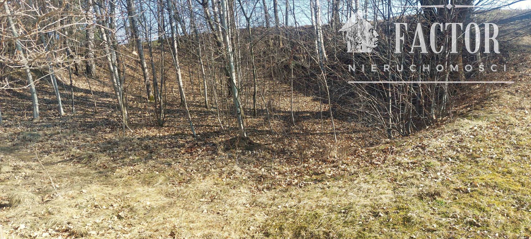 Działka 800 m² w Stróżówce z lasem i możliwością mediów Stróżówka  800m2 Foto 1