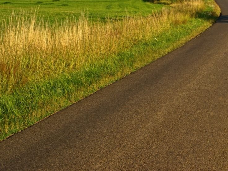 Działka gospodarstwo rolne na sprzedaż Kudrycze  9 900m2 Foto 2