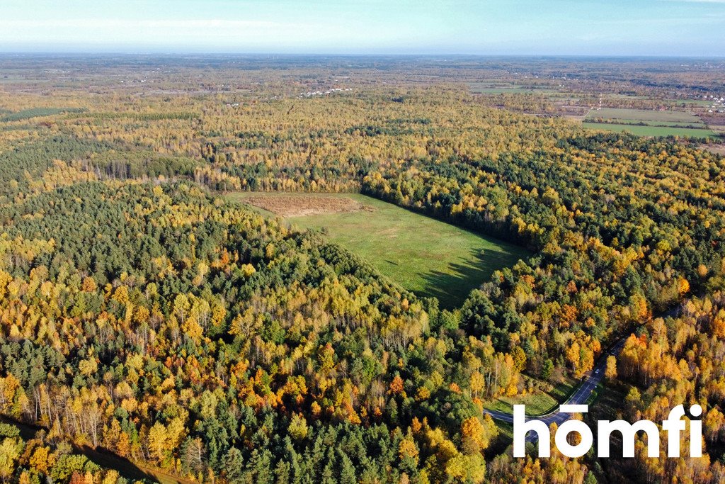 Sprzedam działkę 13 ha w lesie z dostępem do strumyka Chlewiska  130 600m2 Foto 1