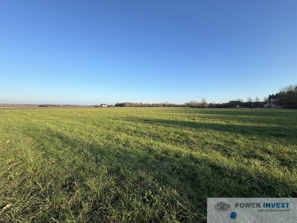 Działka budowlana na sprzedaż Powązki  19 500m2 Foto 8