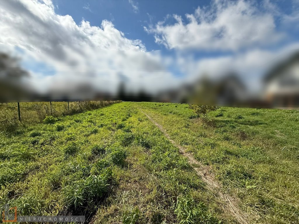 Działka budowlana 3200 m² w Zielonkach – idealna pod inwestycję Zielonki  3 200m2 Foto 1