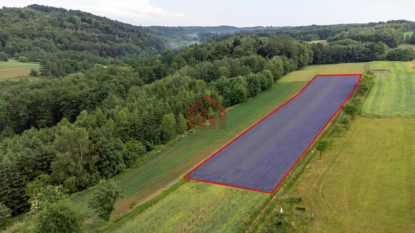 Działka budowlana na sprzedaż Zagorzyce  2 800m2 Foto 6