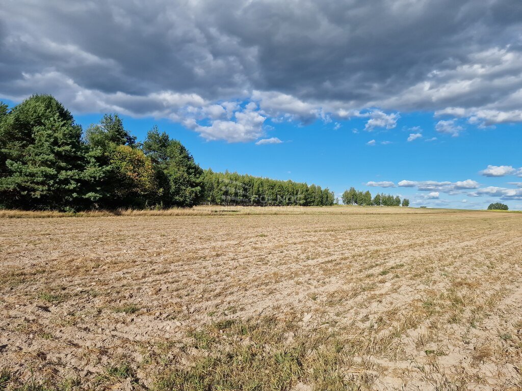 Działka rolna na sprzedaż Uhowo  9 290m2 Foto 3