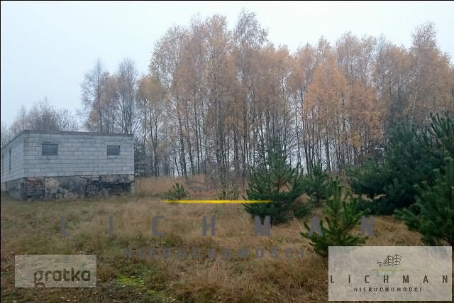 Działka 29 600 m² w Siucicach-Kolonii - las, asfalt, woda Siucice-Kolonia  29 600m2 Foto 1