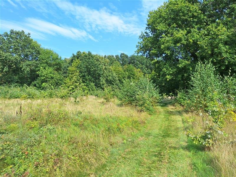 Działka budowlana na sprzedaż Bukowo Morskie, Bukowo Morskie  7 881m2 Foto 8