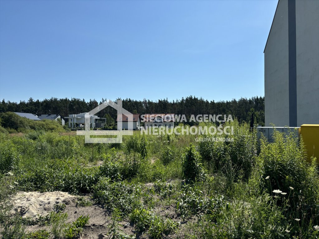 Działka budowlana na sprzedaż Bojano  1 262m2 Foto 4