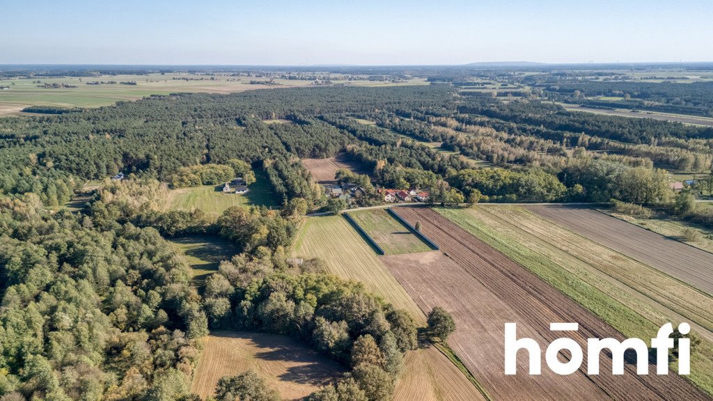 Działka budowlana na sprzedaż Siemiechów  2 600m2 Foto 6