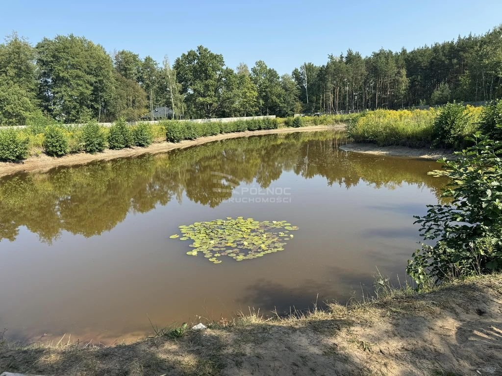 Działka inna na sprzedaż Majdan  35 000m2 Foto 6