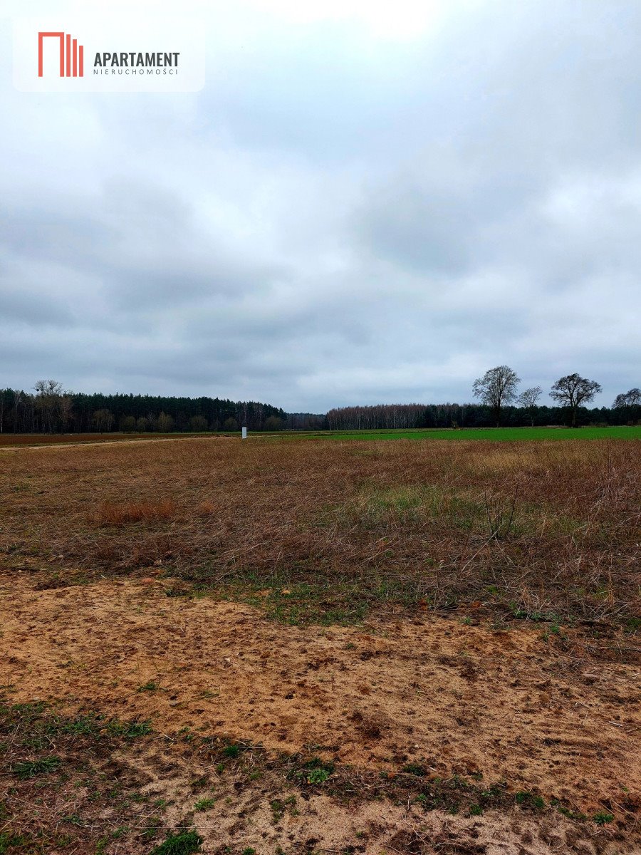 Działka budowlana na sprzedaż Żeleźnica  1 264m2 Foto 5