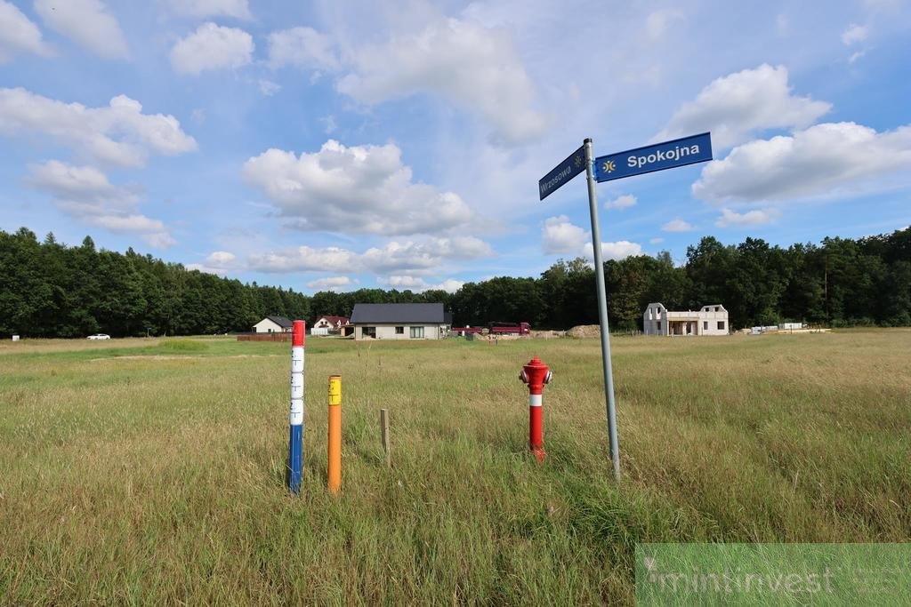 Działka budowlana na sprzedaż Podańsko  1 238m2 Foto 6