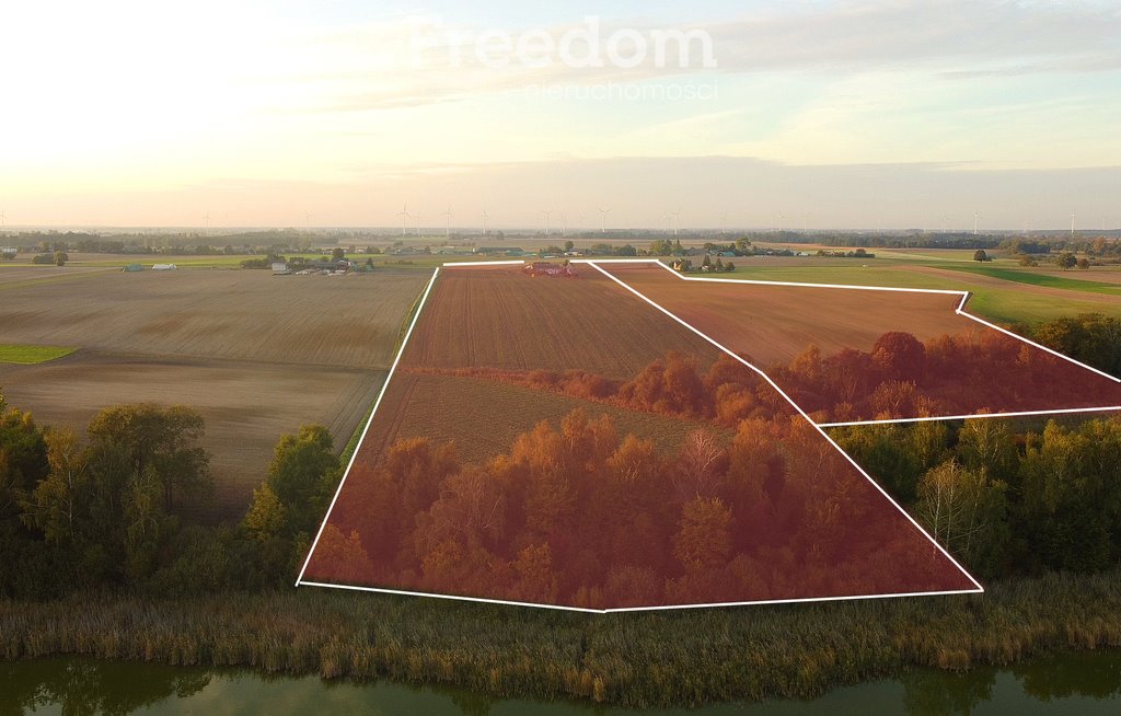 Działka budowlana na sprzedaż Kaliszany  16 000m2 Foto 10