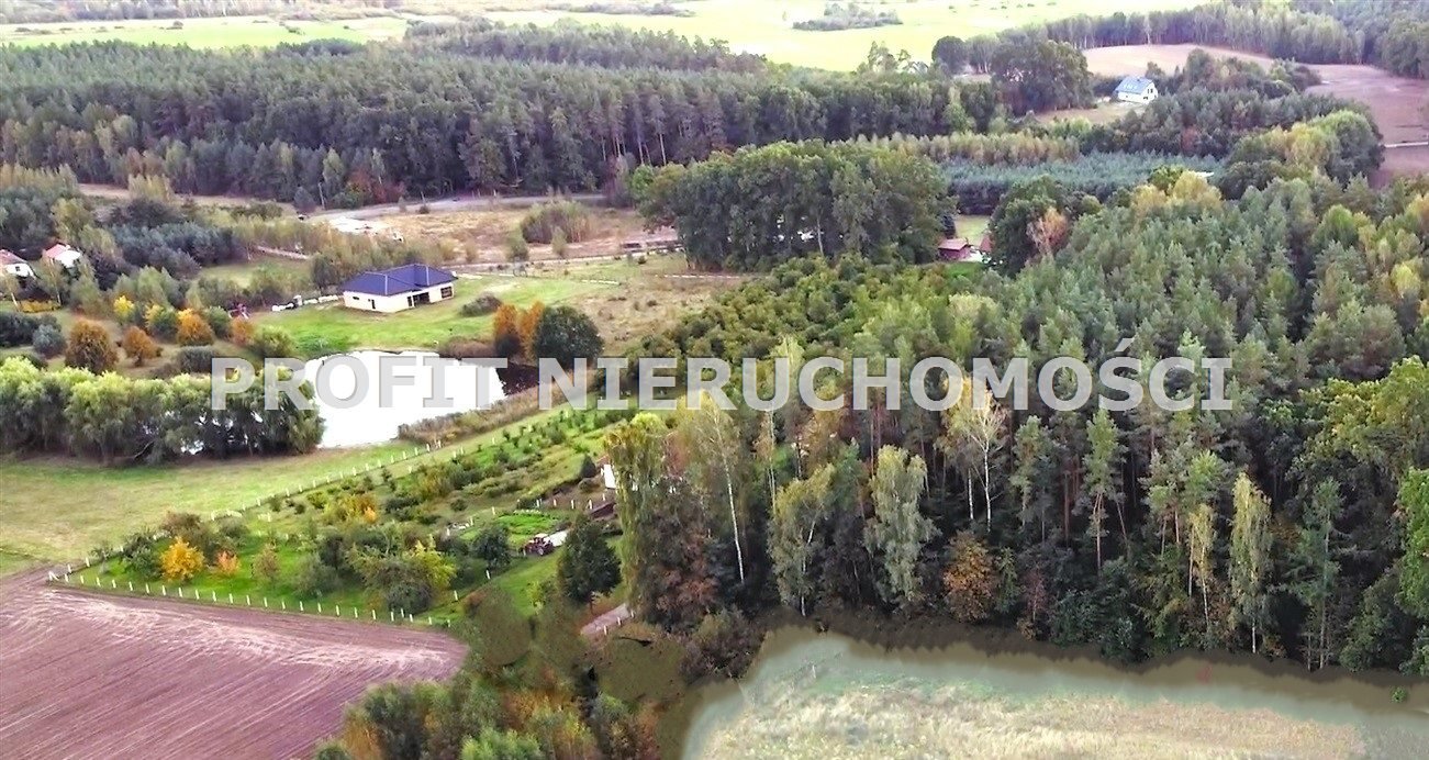 Działka rolna na sprzedaż Nowa Wieś Lęborska  5 795m2 Foto 3