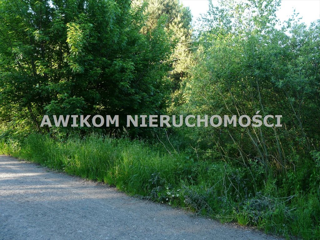 Działka rolna z możliwością zabudowy, 12 500 m² w Antoniewie Wiskitki, Antoniew  12 500m2 Foto 1