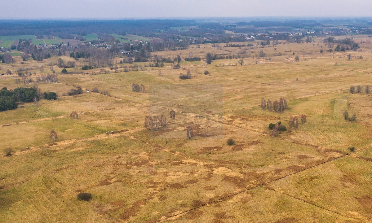 Działka rolna na sprzedaż Skrzydlów, Łąkowa  7 583m2 Foto 11