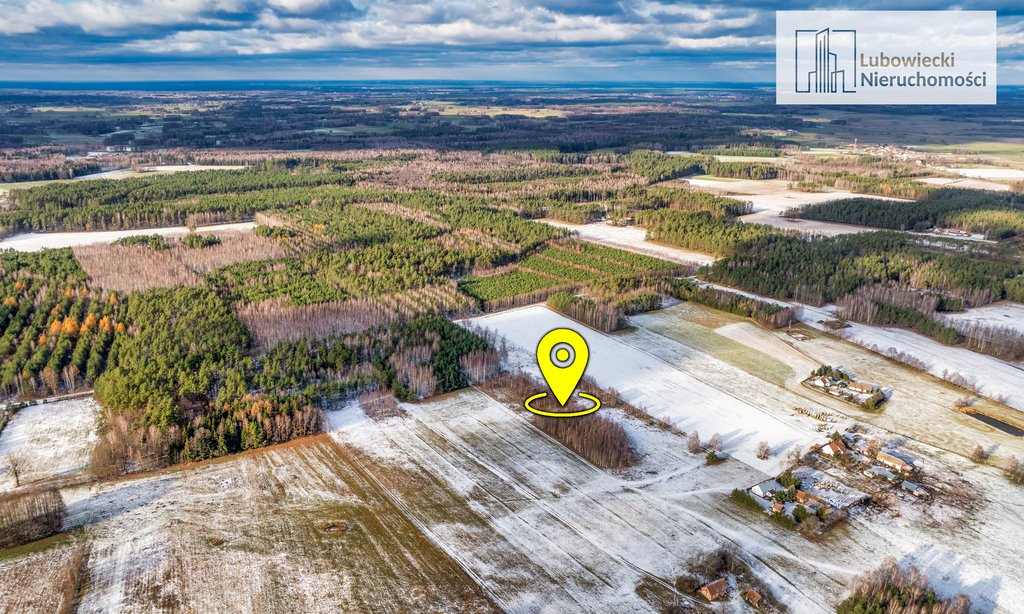 Działka rolna na sprzedaż Wilamowo  3 002m2 Foto 10