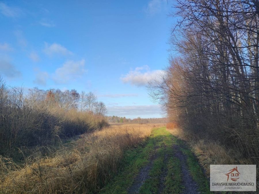 Działka rolna na sprzedaż Dalno, Dalno  137 710m2 Foto 10