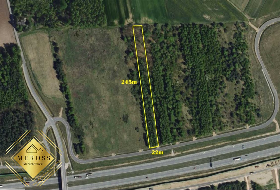 Działka gospodarstwo rolne na sprzedaż Wierzchowisko  5 390m2 Foto 8