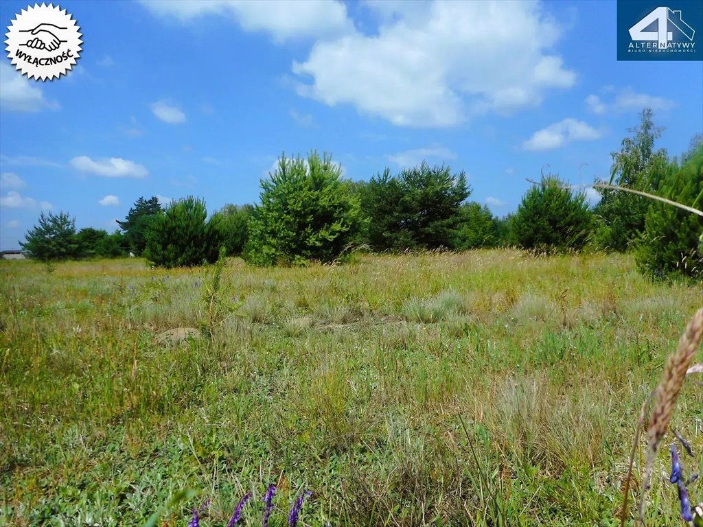 Działka budowlana na sprzedaż Pabianice, Pabianicka  1 115m2 Foto 5