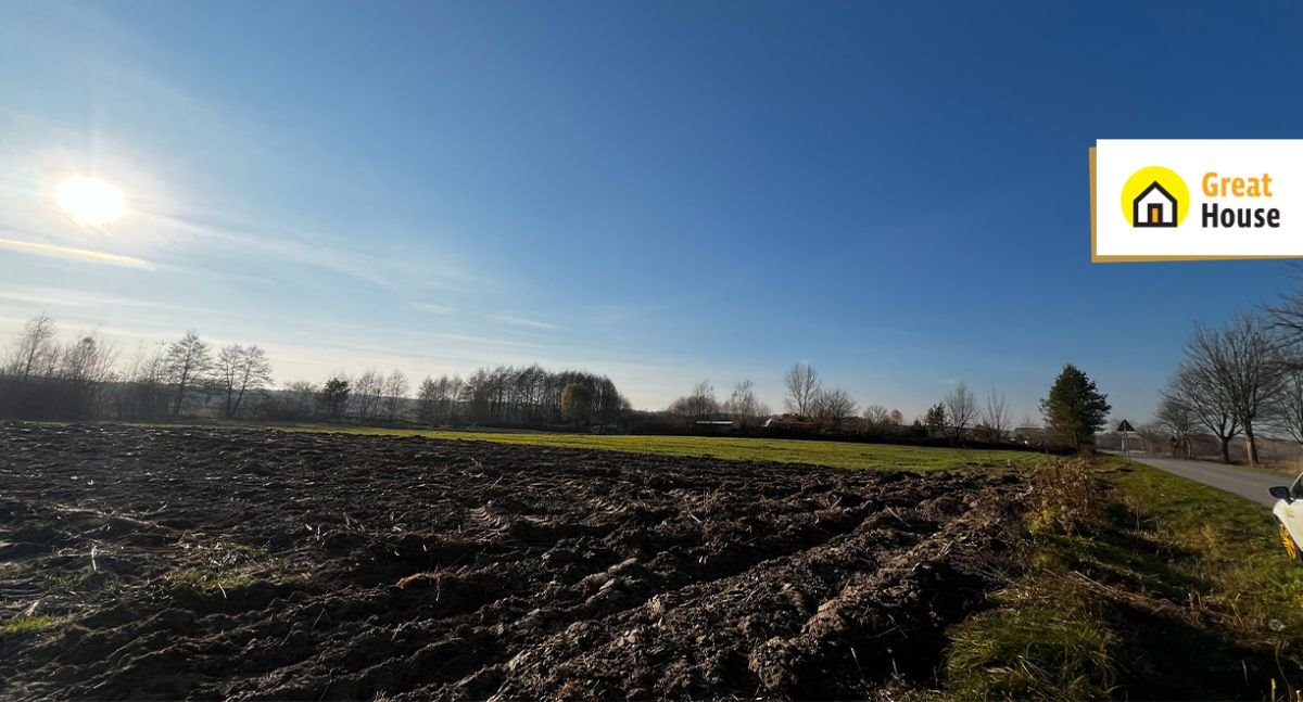 Działka rolna na sprzedaż Borzykowa  85 100m2 Foto 5