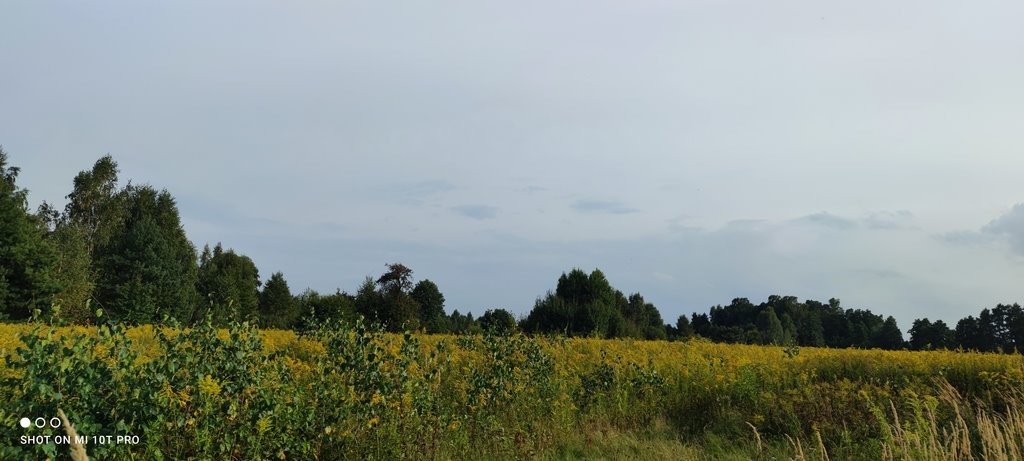 Działka budowlana na sprzedaż Borzęcin Mały  1 000m2 Foto 10